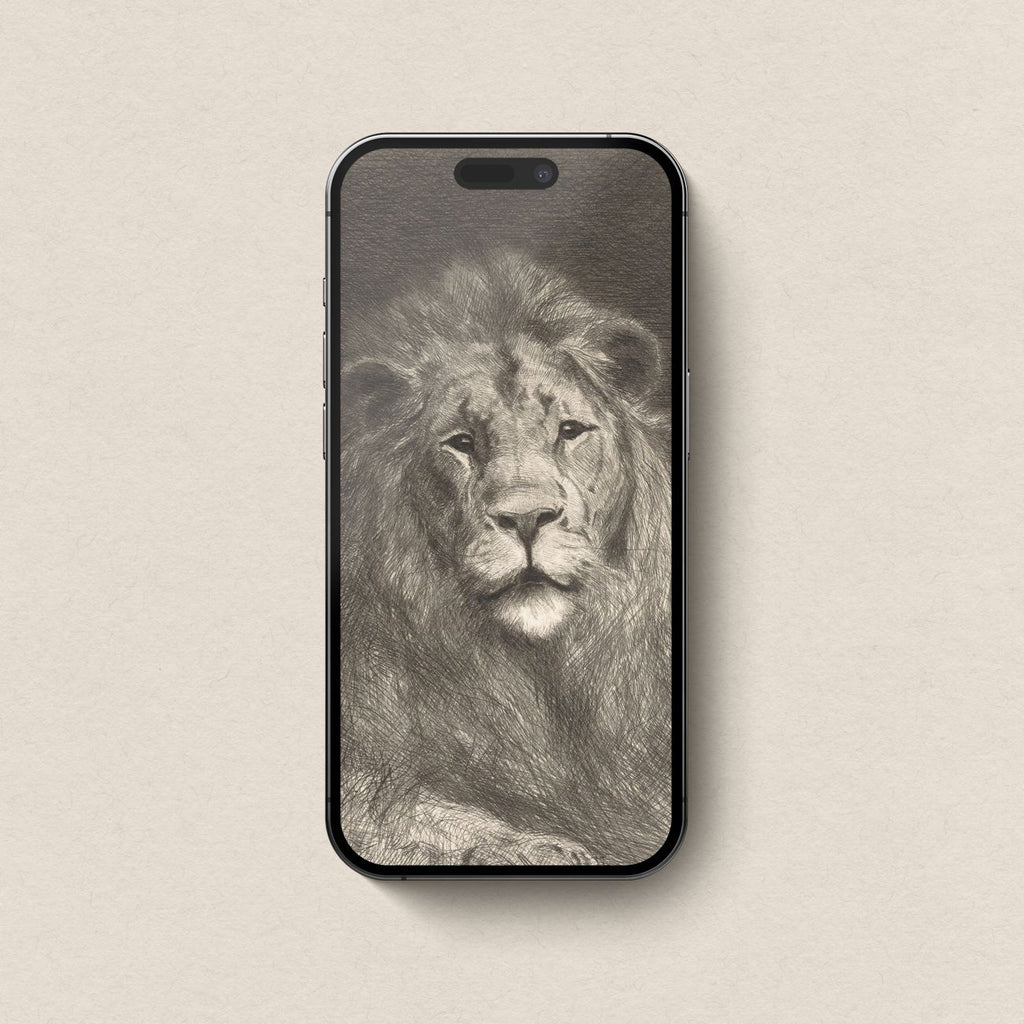 Majestic Lion Wallpaper Set | iPhone & iPad Minimal Pencil Sketch Portrait