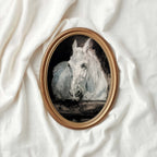 Vintage White Horse Stable Wall Art Printable (Dark Academia Equestrian)