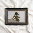 Minimal Rustic Sequoia Tree Printable Wall Art