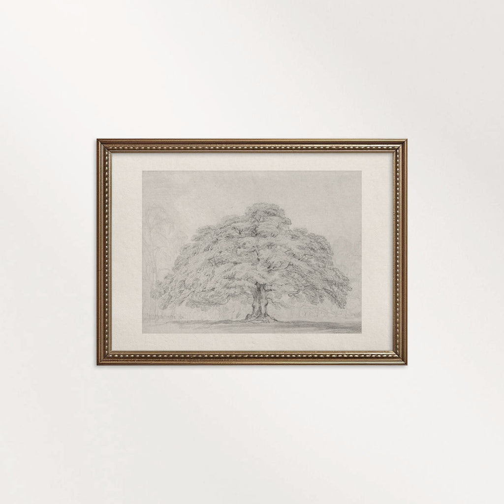 Horizontal Oak Tree Landscape Wall Art Printable | Antique Pencil Sketch Print