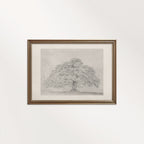 Horizontal Oak Tree Landscape Wall Art Printable | Antique Pencil Sketch Print