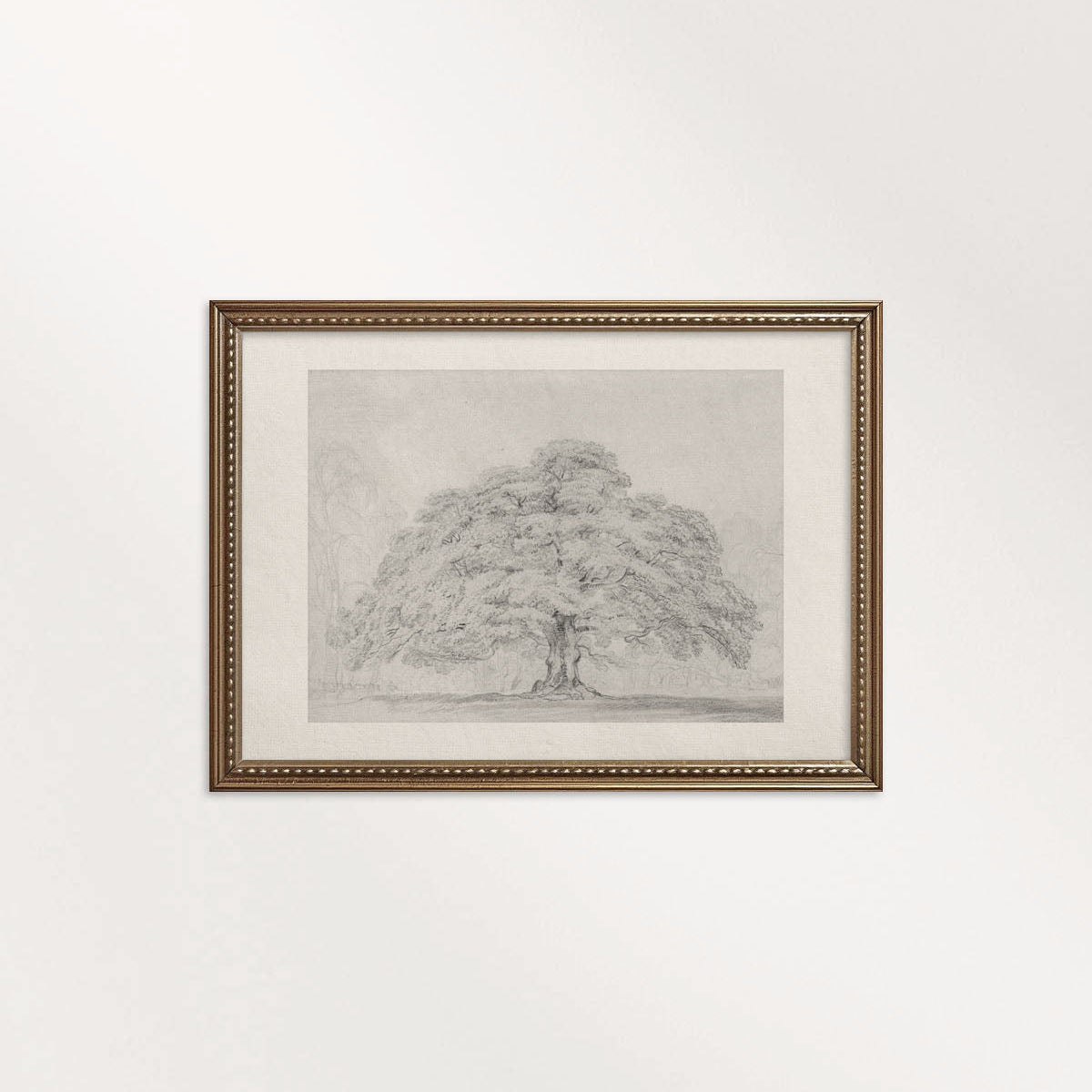 Horizontal Oak Tree Landscape Wall Art Printable | Antique Pencil Sketch Print
