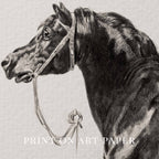 Black Horse Portrait Sketch Wall Art Printable – Antique Equestrian Study Illustration | Dark Academia Horse Decor Print