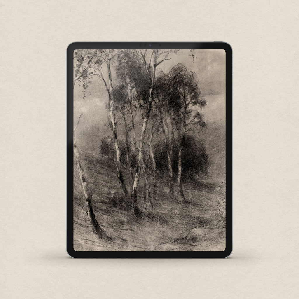 Charcoal Birch Tree Wallpaper Set | iPhone & iPad Minimal Monochrome Forest