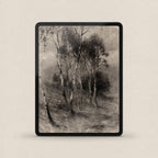 Charcoal Birch Tree Wallpaper Set | iPhone & iPad Minimal Monochrome Forest