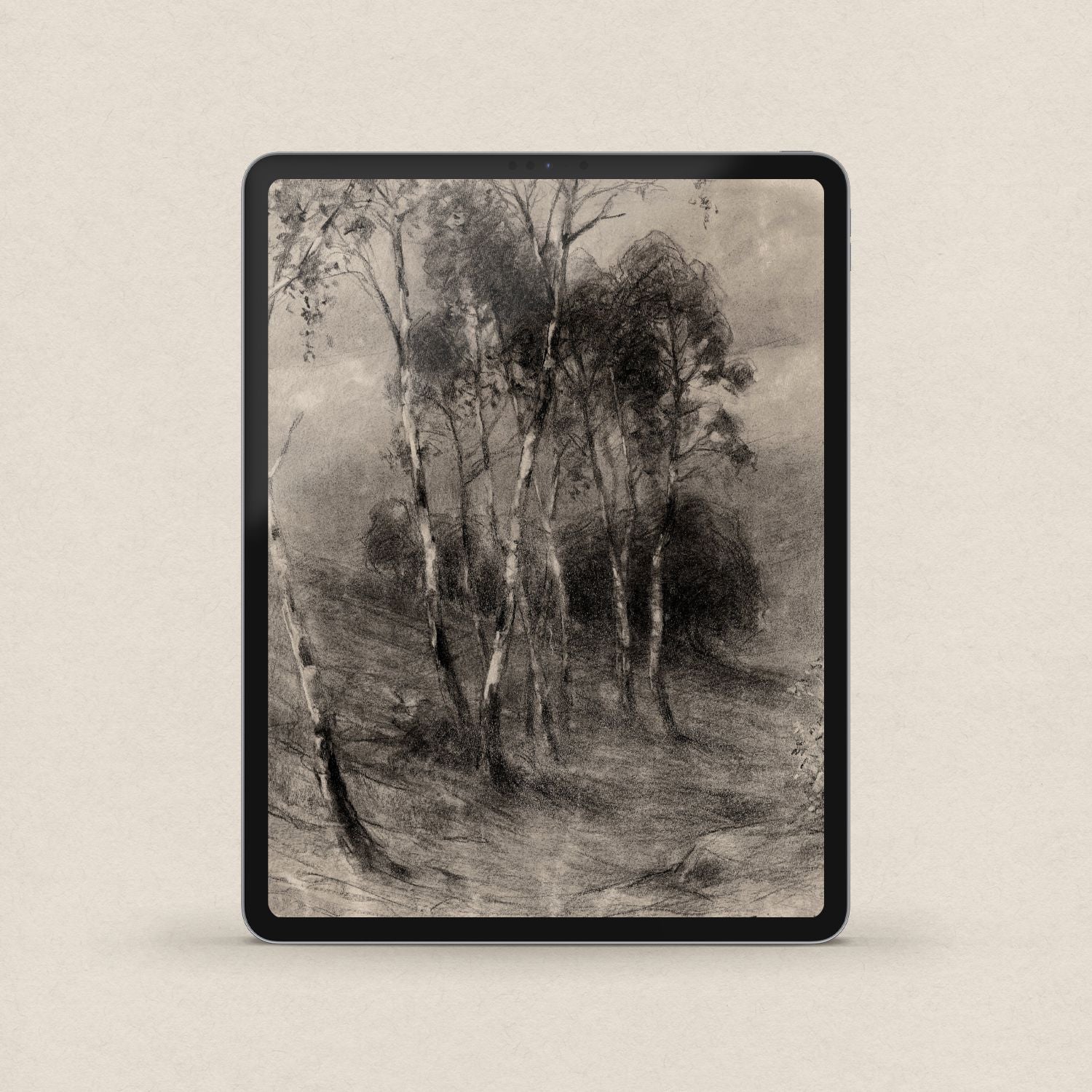 Charcoal Birch Tree Wallpaper Set | iPhone & iPad Minimal Monochrome Forest