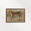 Boho Safari Tiger Wall Art Print (Neutral Grasslands Wildlife Landscape Decor)