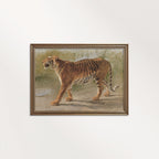 Boho Safari Tiger Wall Art Print (Neutral Grasslands Wildlife Landscape Decor)