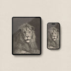 Majestic Lion Wallpaper Set | iPhone & iPad Minimal Pencil Sketch Portrait
