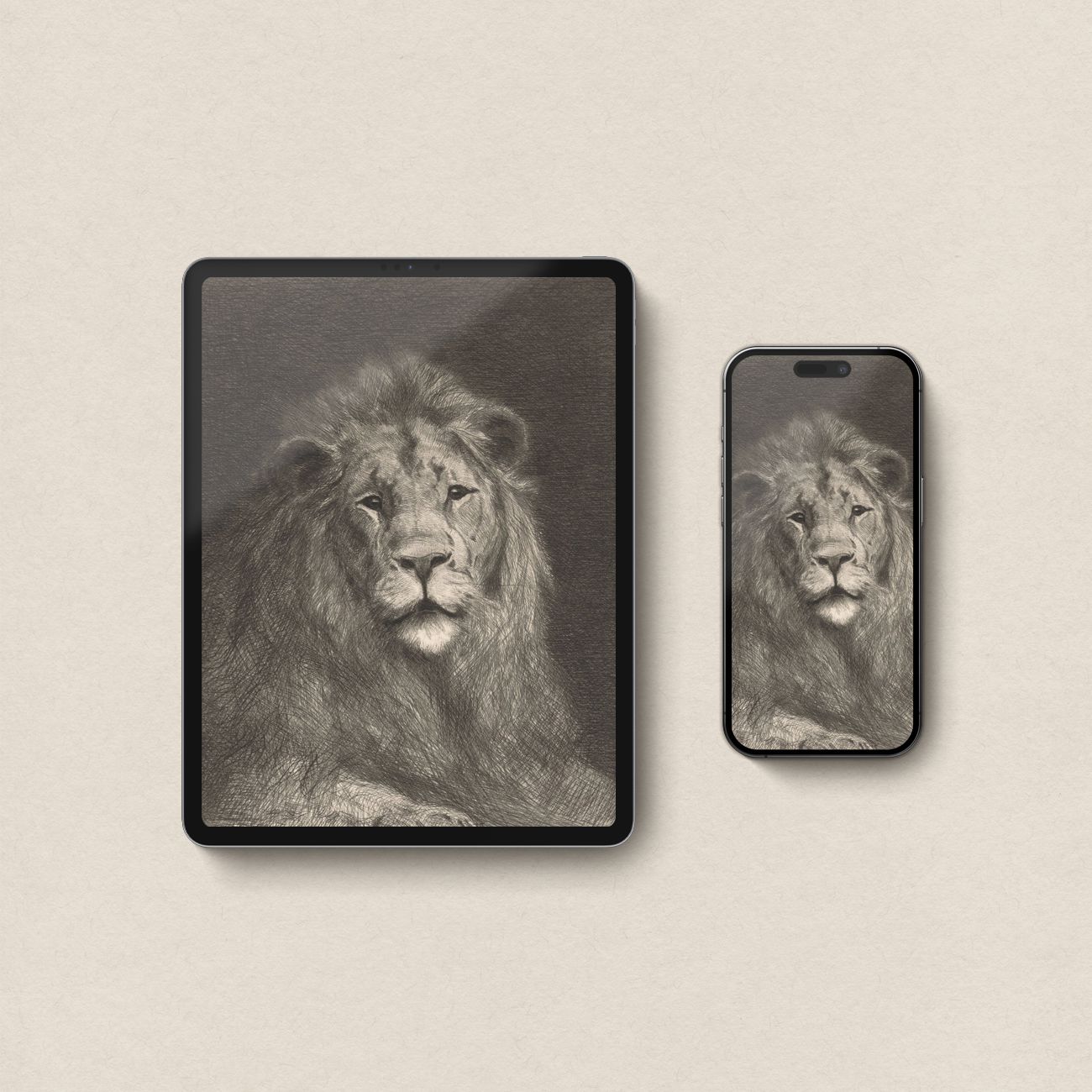 Majestic Lion Wallpaper Set | iPhone & iPad Minimal Pencil Sketch Portrait