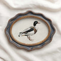 Mallard Duck Bird Print Digital Download (Antique Natural History Wall Art)