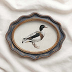 Mallard Duck Bird Print Digital Download (Antique Natural History Wall Art)