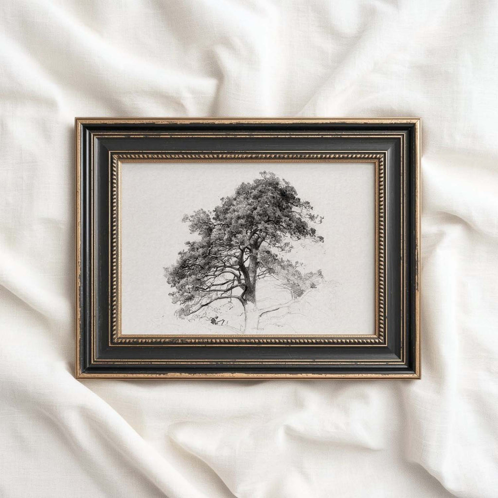 Antique Pine Tree Wall Art Printable | Minimal Botanical Pencil Sketch Print