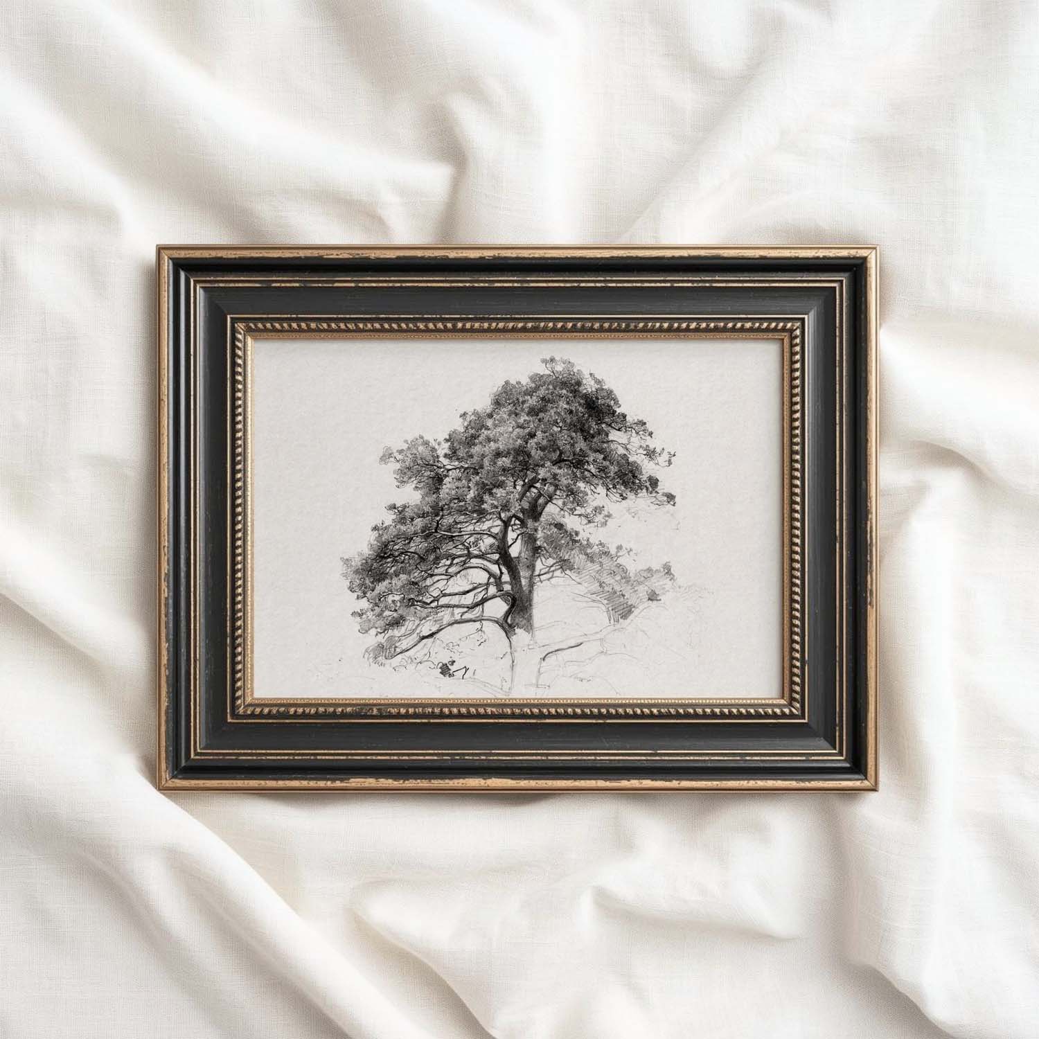 Antique Pine Tree Wall Art Printable | Minimal Botanical Pencil Sketch Print
