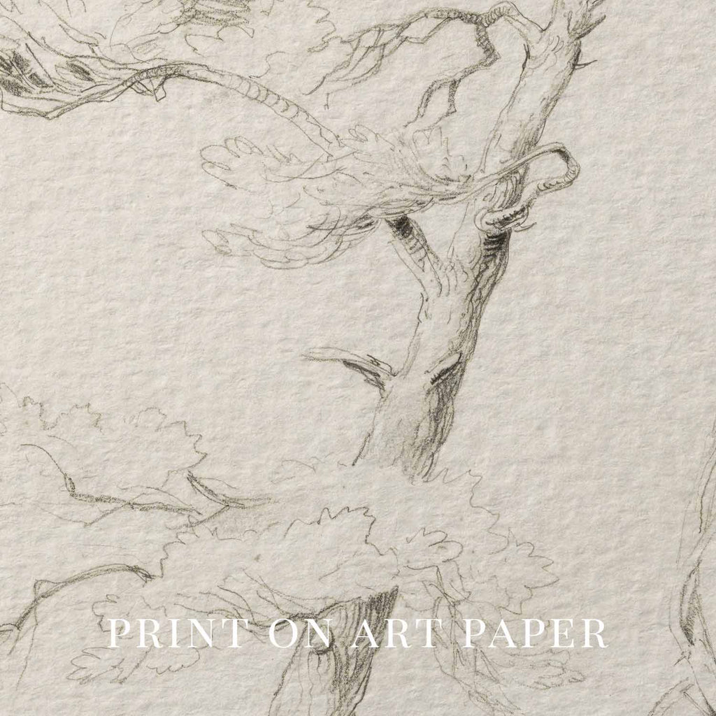 Windblown Pine Tree Wall Art Printable | Antique Minimal Pencil Sketch Print