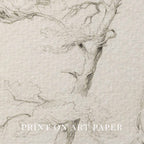 Windblown Pine Tree Wall Art Printable | Antique Minimal Pencil Sketch Print