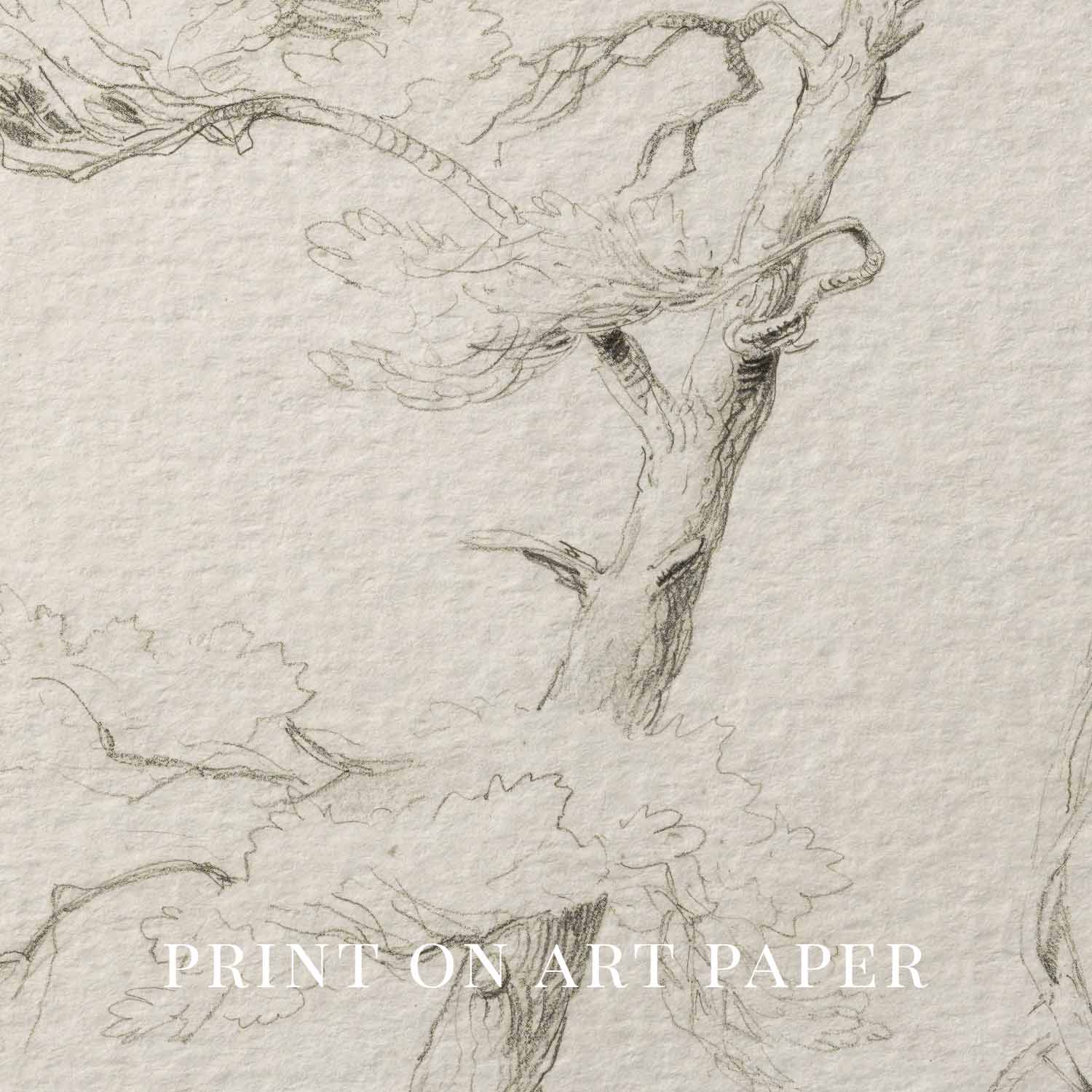 Windblown Pine Tree Wall Art Printable | Antique Minimal Pencil Sketch Print