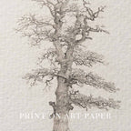 Winter Oak Tree Wall Art Printable | Antique Minimal Pencil Sketch Print