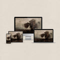 Minimalist dark desktop wallpaper featuring a misty black and beige landscape with a subtle Dark Academia aesthetic and matching device wallpapers