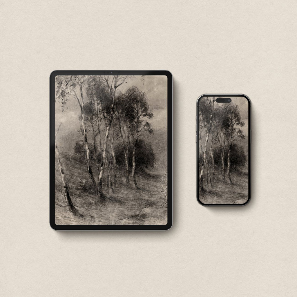 Charcoal Birch Tree Wallpaper Set | iPhone & iPad Minimal Monochrome Forest