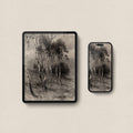 Charcoal Birch Tree Wallpaper Set | iPhone & iPad Minimal Monochrome Forest