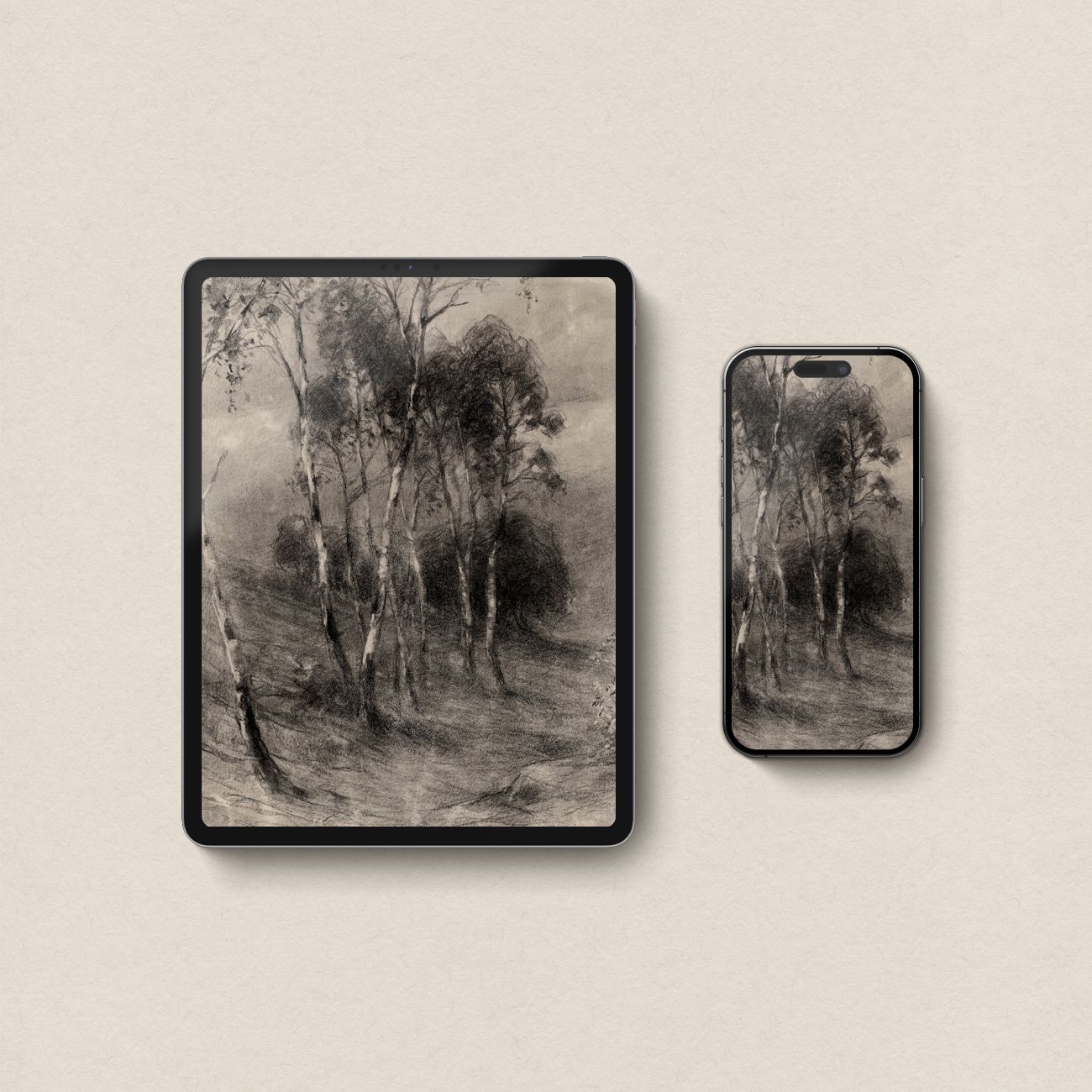 Charcoal Birch Tree Wallpaper Set | iPhone & iPad Minimal Monochrome Forest
