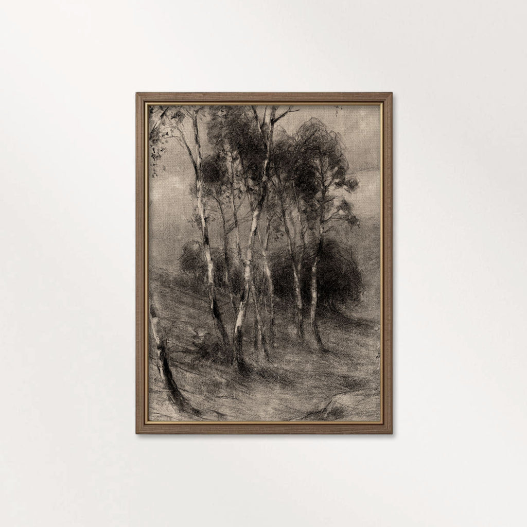 Charcoal Birch Tree Wall Art Printable | Minimal Black Forest Sketch Print