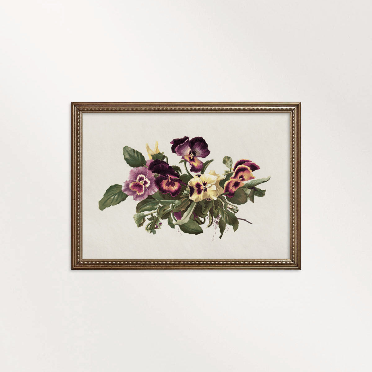 Pansy Botanical Wall Art Print Digital Download – Vintage Herbarium Flower Illustration Printable Wall Art