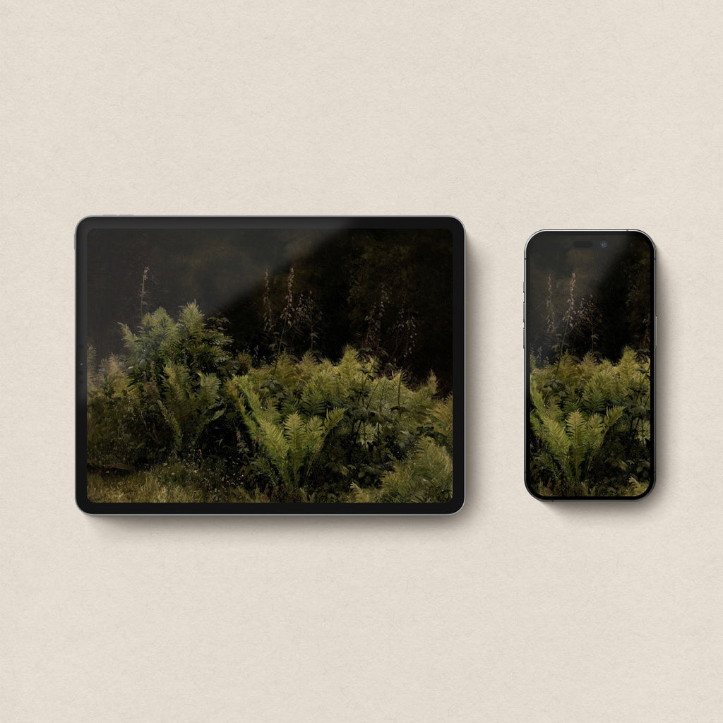 Moody fern wallpaper iphone look in a coordinated set with dark botanical forest tones.