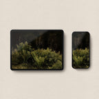 Moody fern wallpaper iphone look in a coordinated set with dark botanical forest tones.