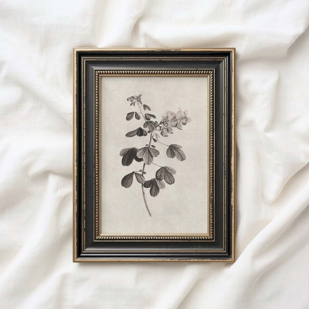 Neutral Botanical Pencil Drawing Wall Art Print Digital Download – Antique Moody Floral Illustration Printable Wall Art