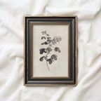 Neutral Botanical Pencil Drawing Wall Art Print Digital Download – Antique Moody Floral Illustration Printable Wall Art