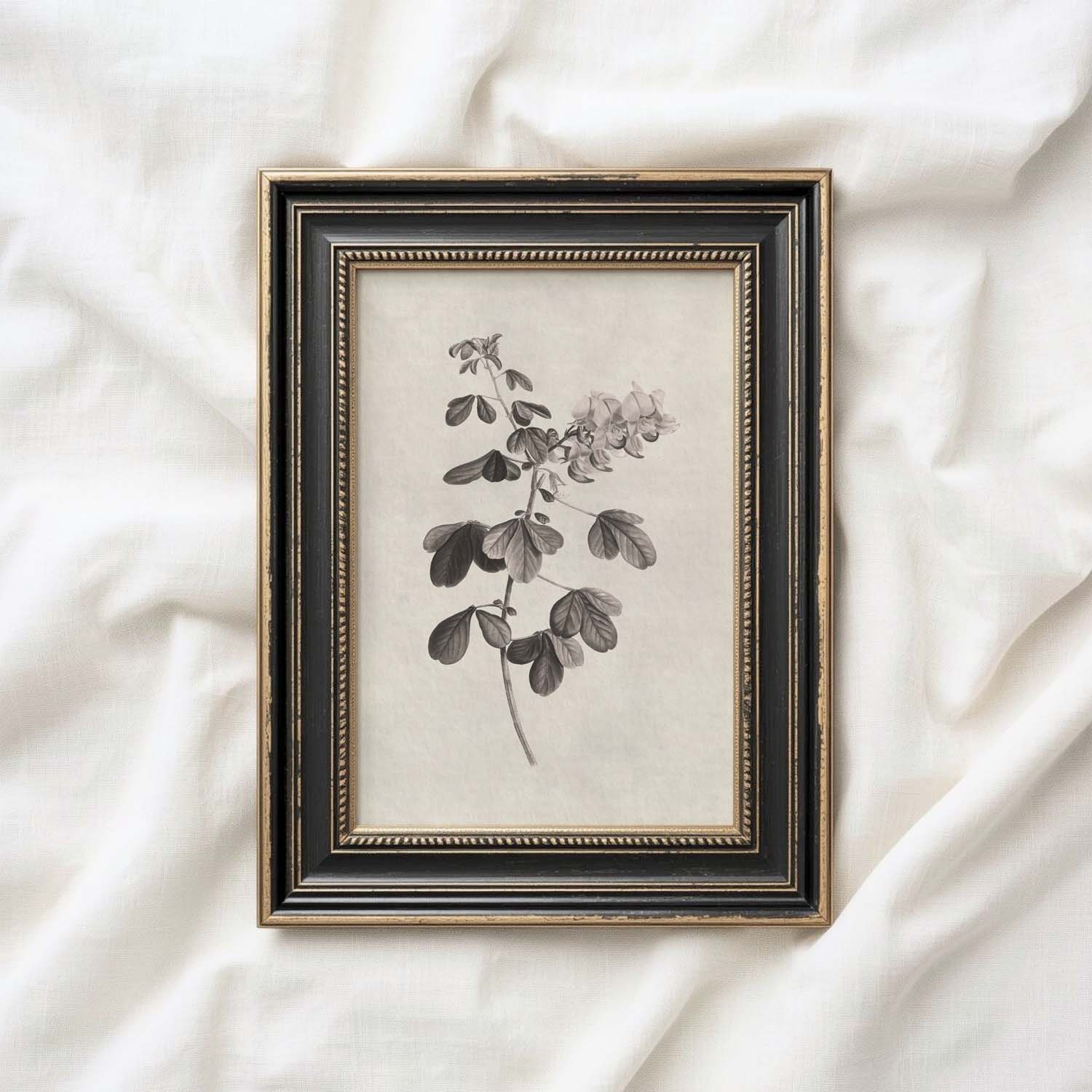 Neutral Botanical Pencil Drawing Wall Art Print Digital Download – Antique Moody Floral Illustration Printable Wall Art