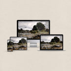 Moorland desktop wallpaper featuring a moody atmospheric landscape in muted natural tones with matching device wallpapers