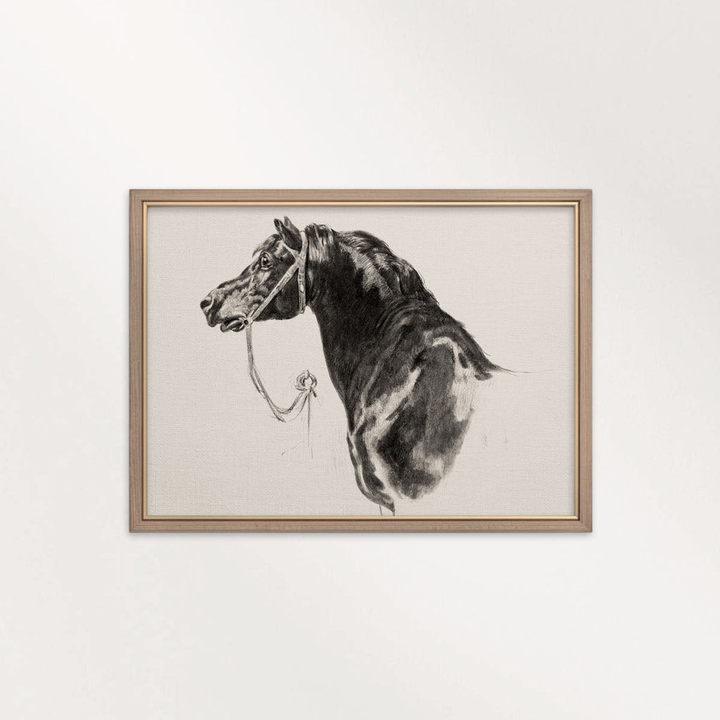 Black Horse Portrait Sketch Wall Art Printable – Antique Equestrian Study Illustration | Dark Academia Horse Decor Print