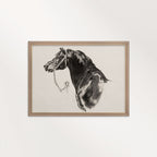 Black Horse Portrait Sketch Wall Art Printable – Antique Equestrian Study Illustration | Dark Academia Horse Decor Print