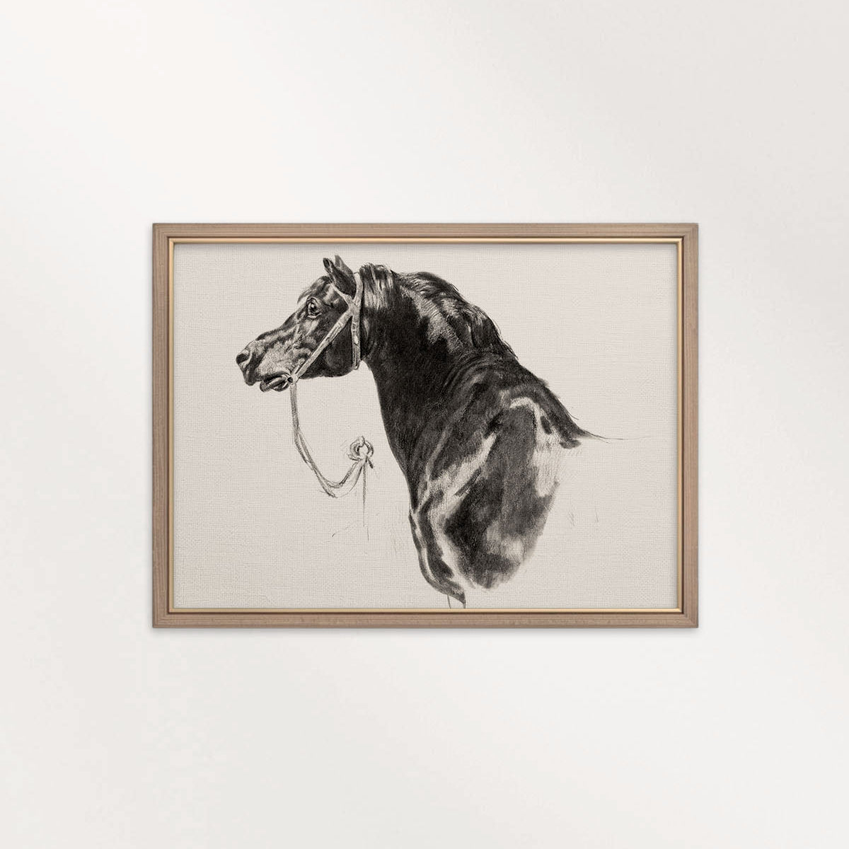Black Horse Portrait Sketch Wall Art Printable – Antique Equestrian Study Illustration | Dark Academia Horse Decor Print