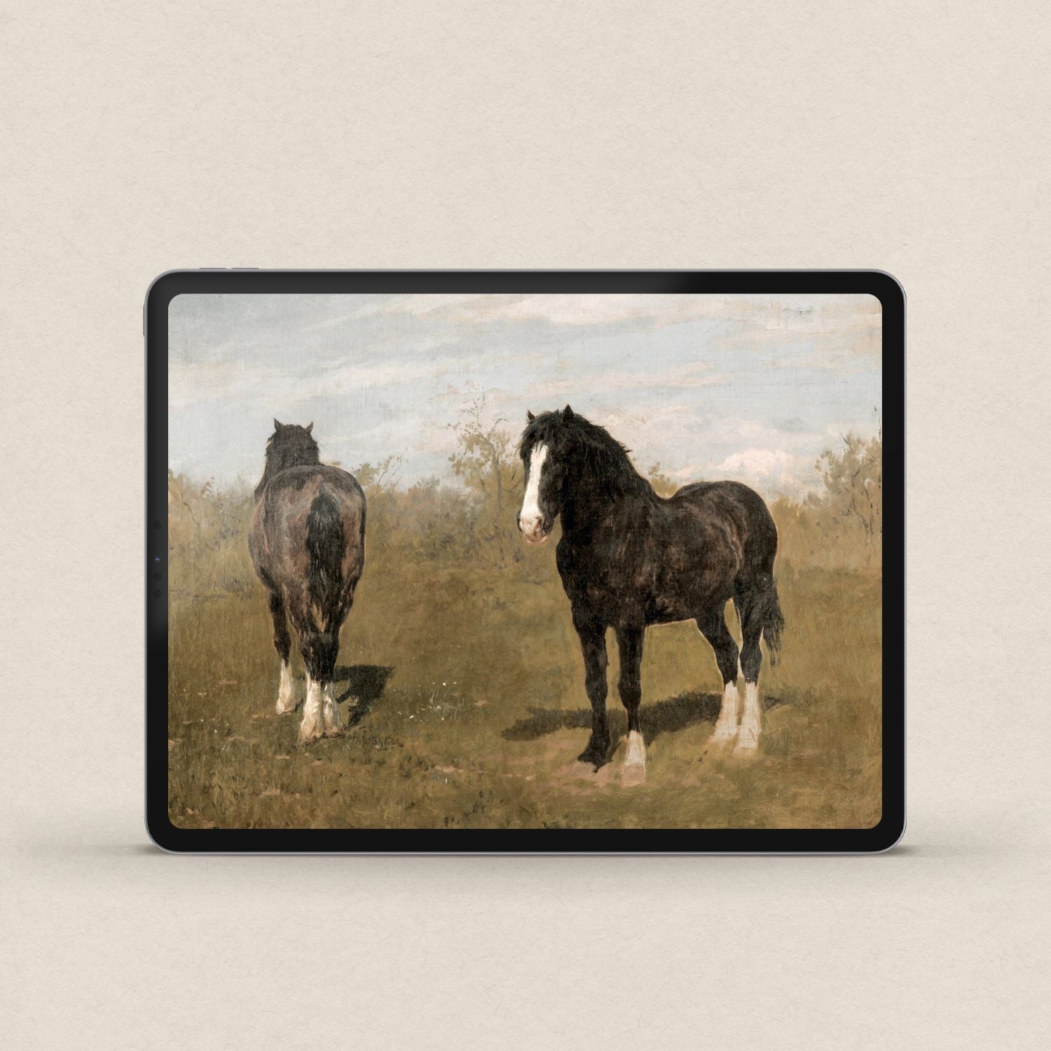 Wild Horse iPhone & iPad Wallpaper Set (Digital Download)