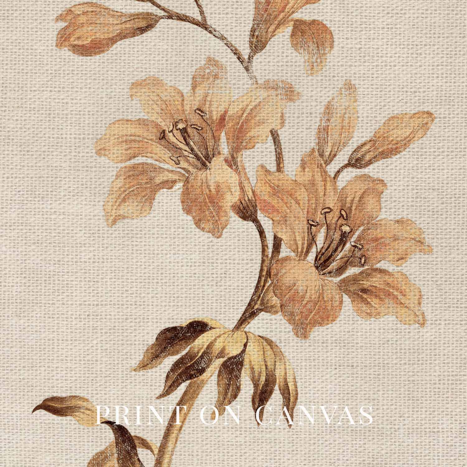 Muted Orange Tiger Lily Wall Art Print (Digital Download)
