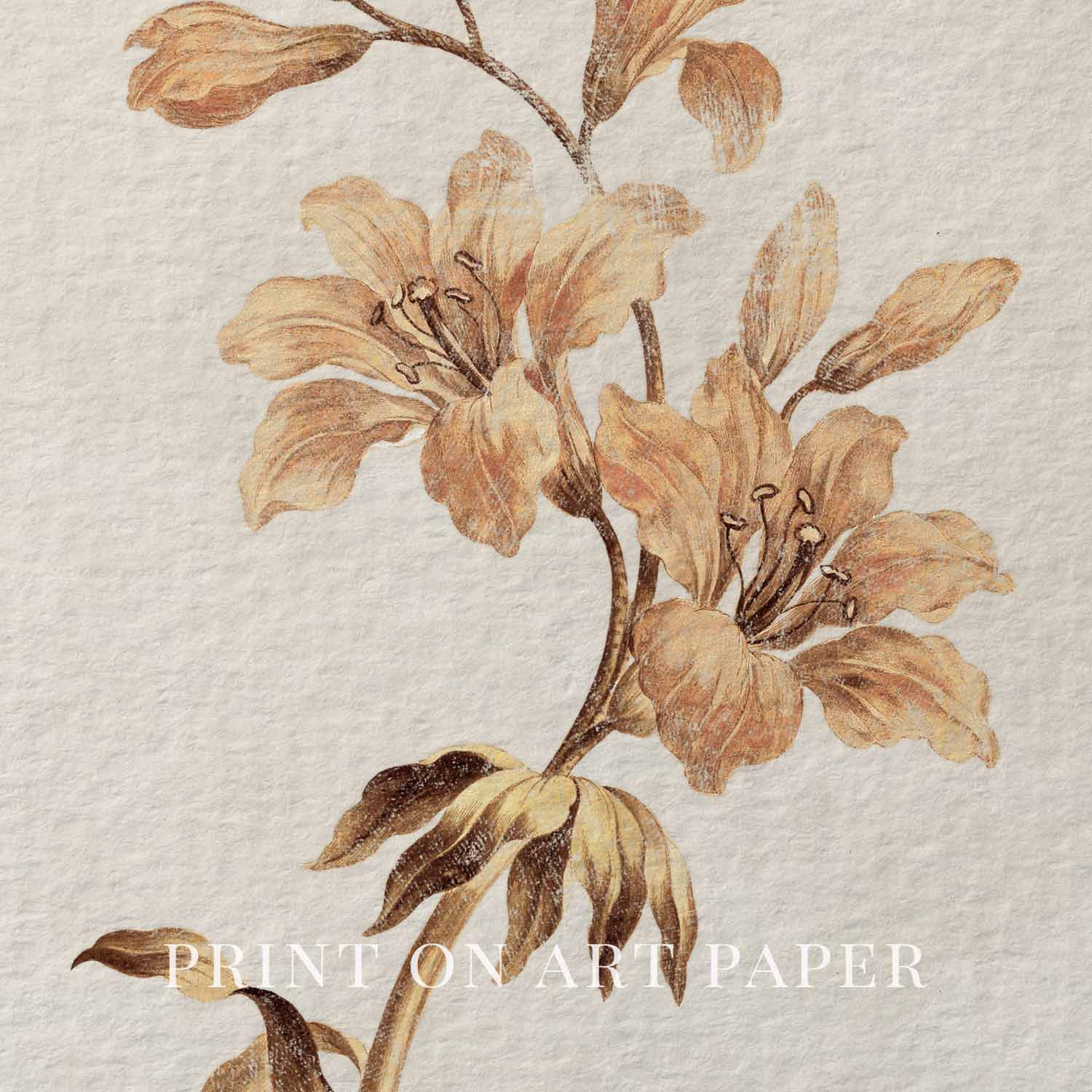 Muted Orange Tiger Lily Wall Art Print (Digital Download)