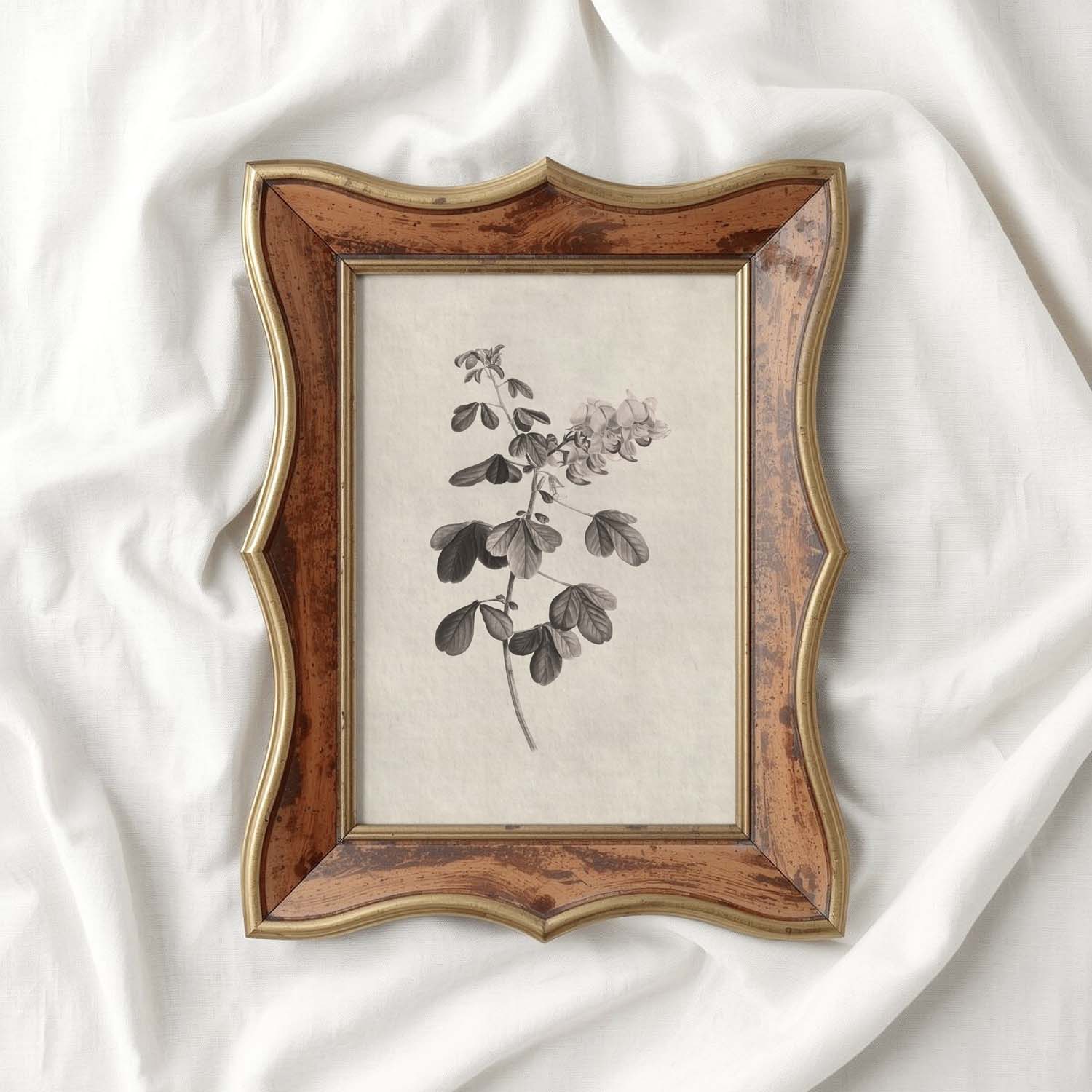 Neutral Botanical Pencil Drawing Wall Art Print Digital Download – Antique Moody Floral Illustration Printable Wall Art