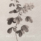 Neutral Botanical Pencil Drawing Wall Art Print Digital Download – Antique Moody Floral Illustration Printable Wall Art