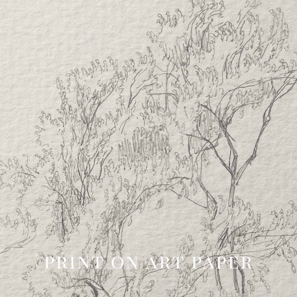 Tree Branch Wall Art Printable | Vintage Botanical Pencil Sketch Print