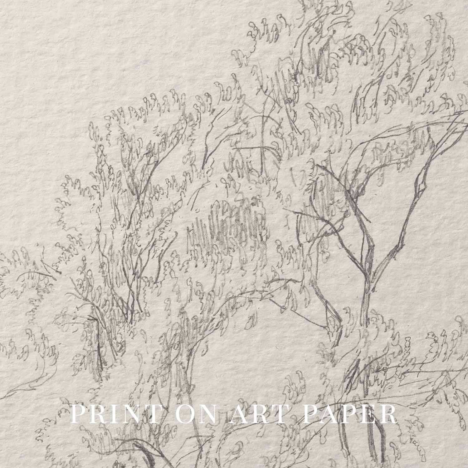 Tree Branch Wall Art Printable | Vintage Botanical Pencil Sketch Print
