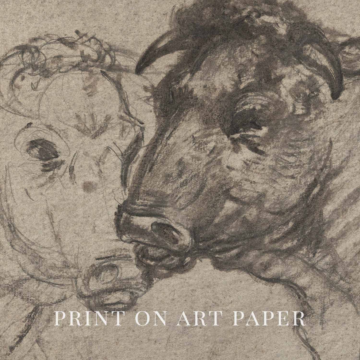 Two Cows Wall Art Printable | Vintage Pencil Sketch Farm Animal Print