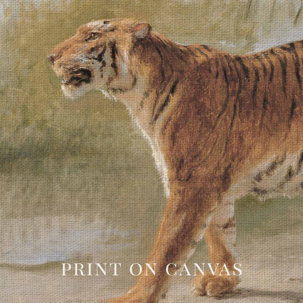 Boho Safari Tiger Wall Art Print (Neutral Grasslands Wildlife Landscape Decor)