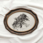 Antique Pine Tree Wall Art Printable | Minimal Botanical Pencil Sketch Print