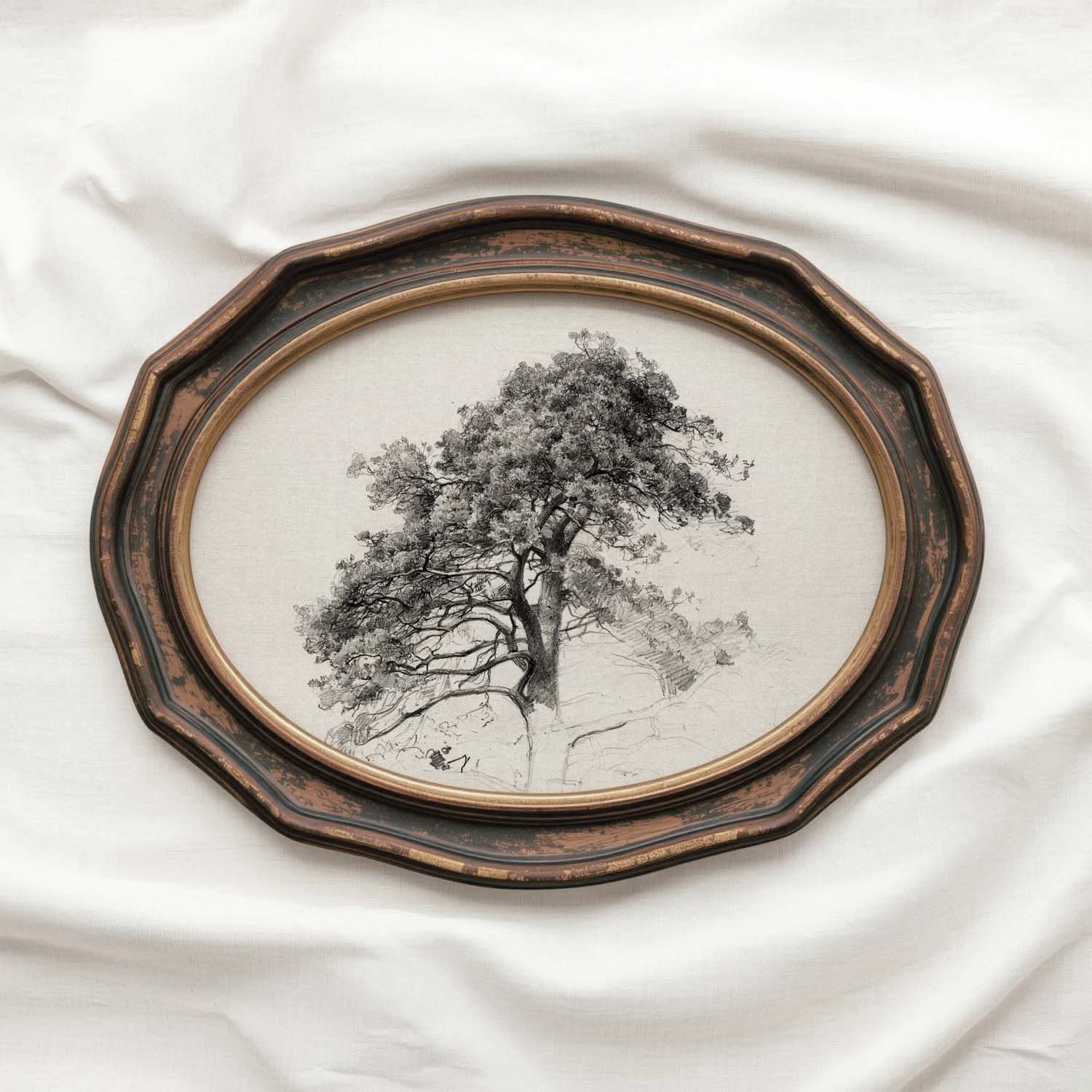 Antique Pine Tree Wall Art Printable | Minimal Botanical Pencil Sketch Print