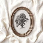 Antique Oak Tree Wall Art Printable | Minimal Botanical Pencil Sketch Print
