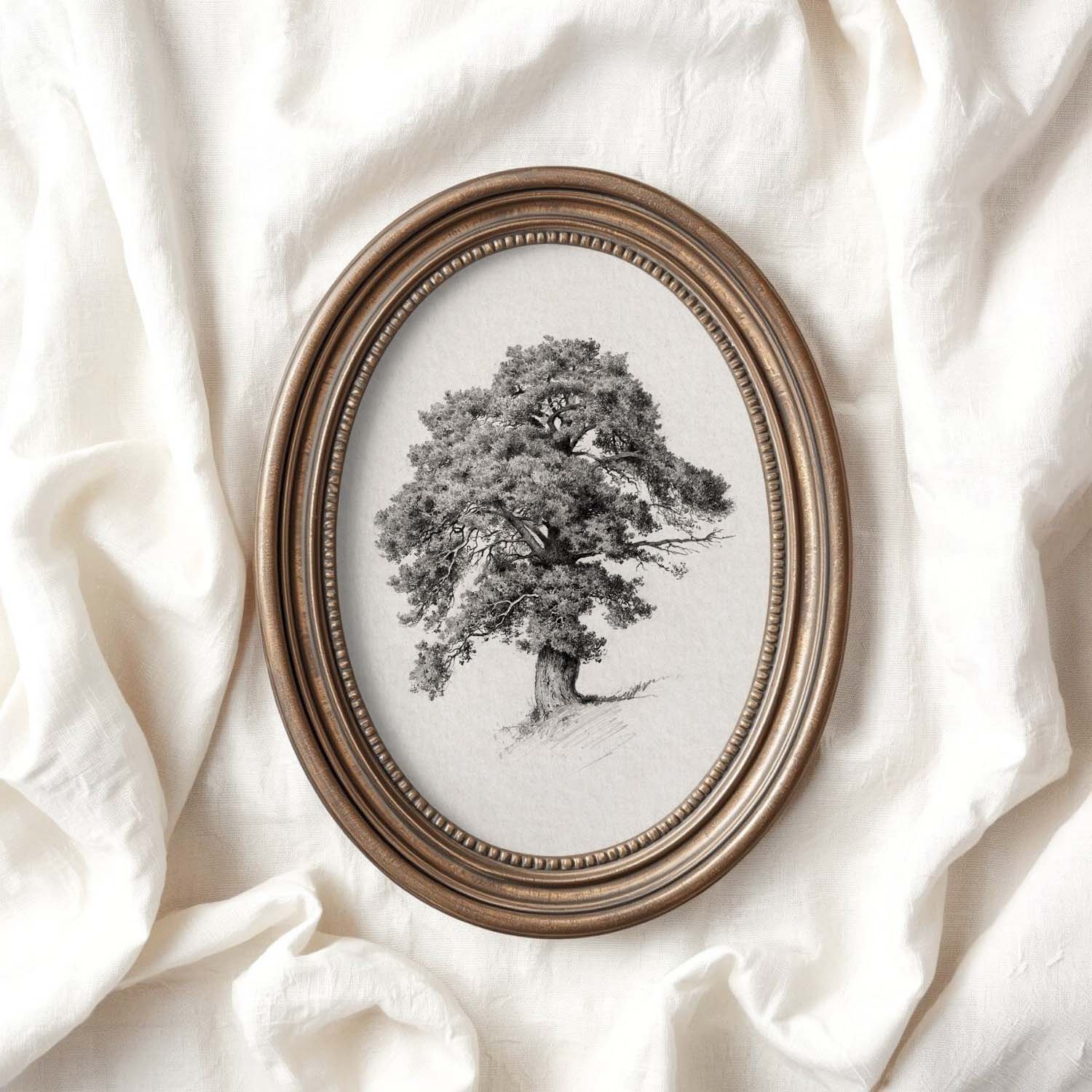 Antique Oak Tree Wall Art Printable | Minimal Botanical Pencil Sketch Print